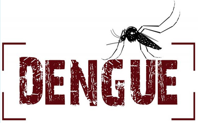 Idosos acima de 60 anos também estão no grupo de risco da dengue - 101FM